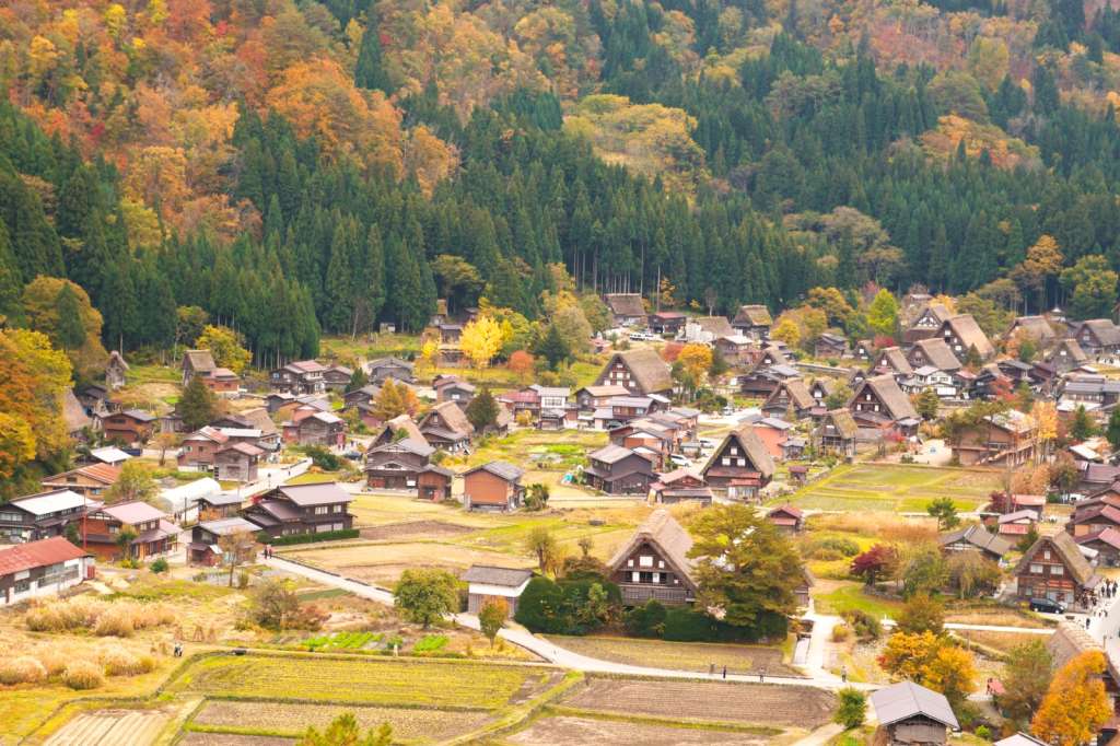 Ánh sáng mùa thu ở làng Shirakawago