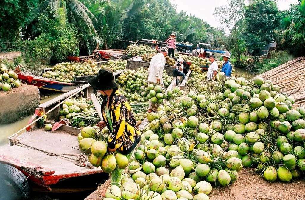 du lịch Bến Tre tự túc