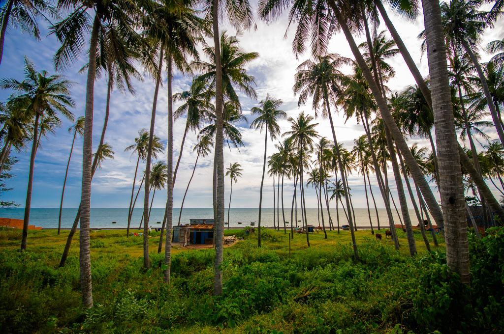 Bãi biển Hàm Tiến