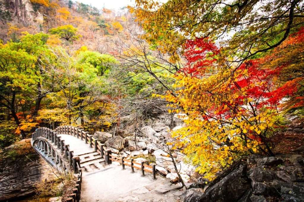 Bức tranh mùa thu đầy màu sắc tại Seoraksan National Park