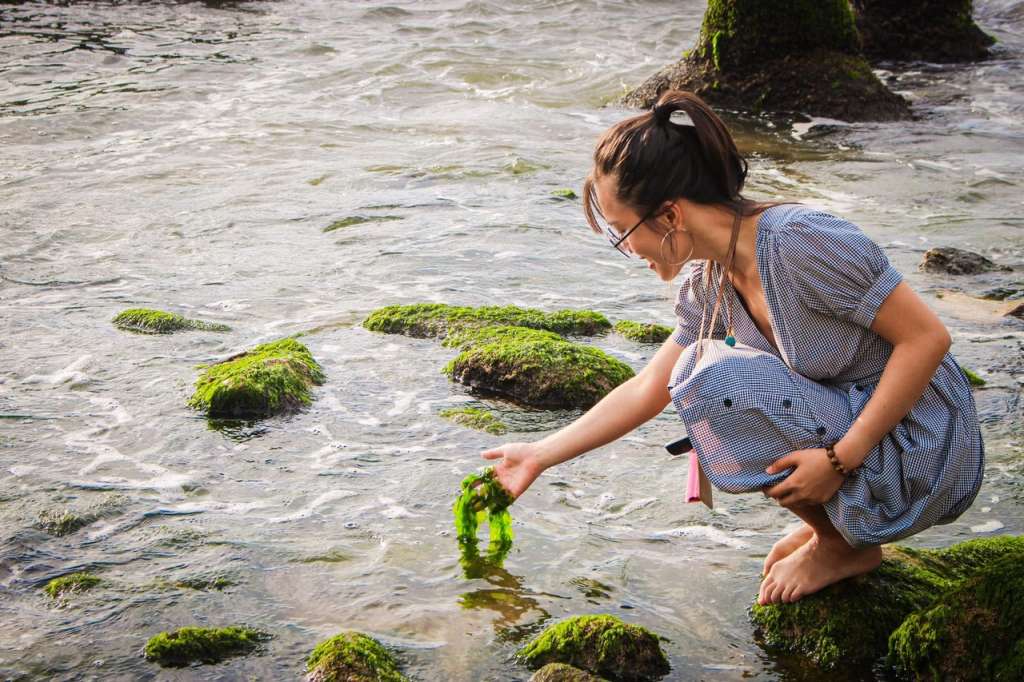 Khung cảnh tươi mát của thiên nhiên khiến ai đặt chân đến đây cũng thích thú 