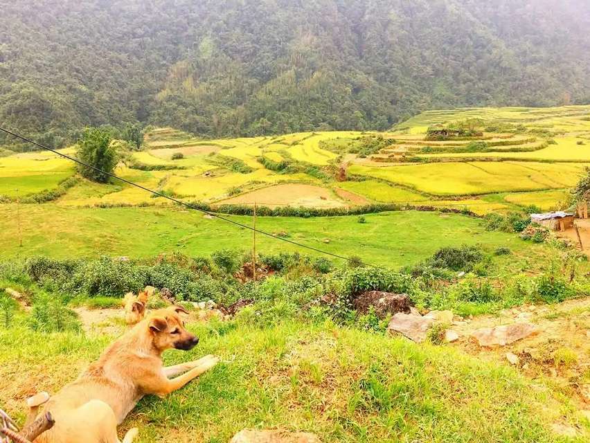 bản Sín Chải