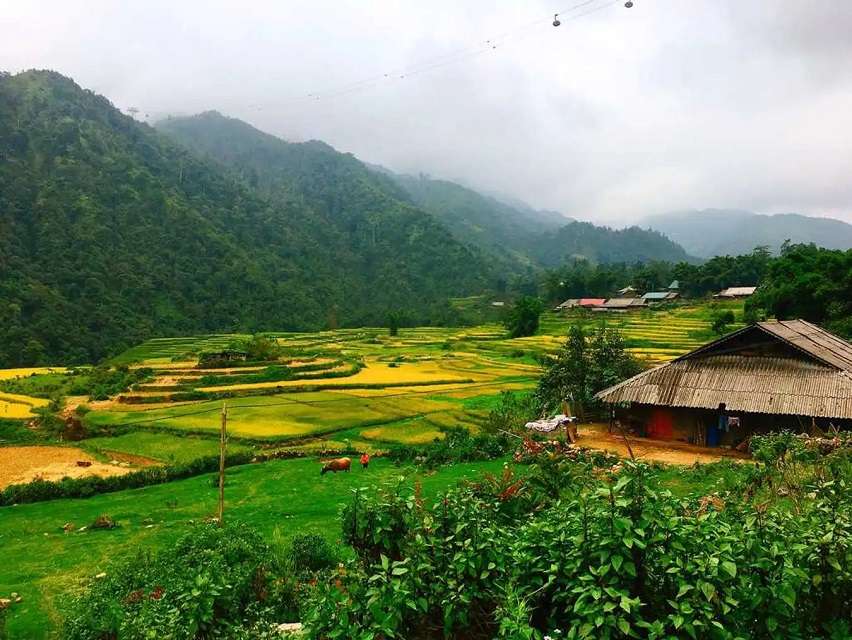 bản Sín Chải