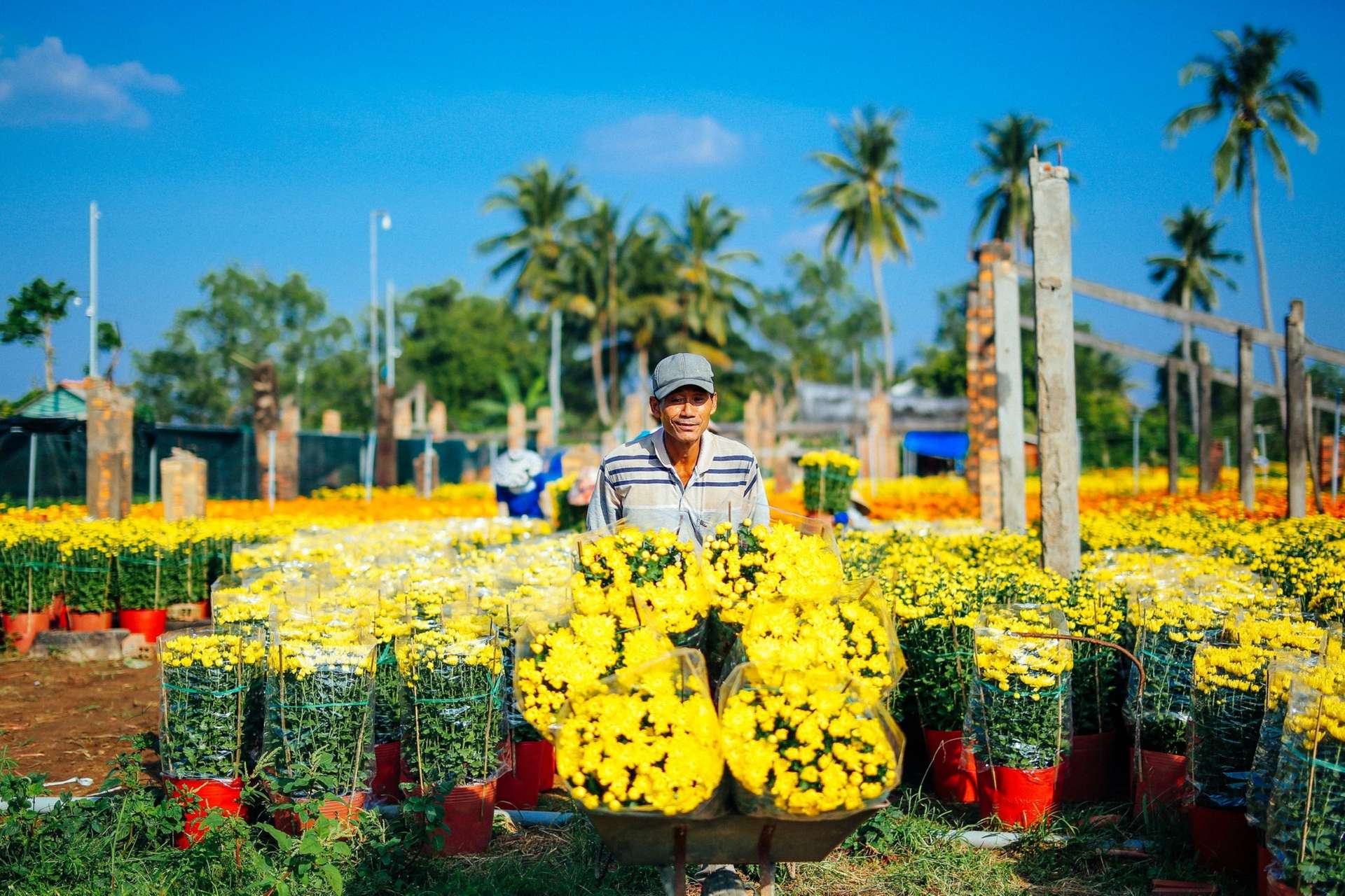 Bến Tre có gì chơi