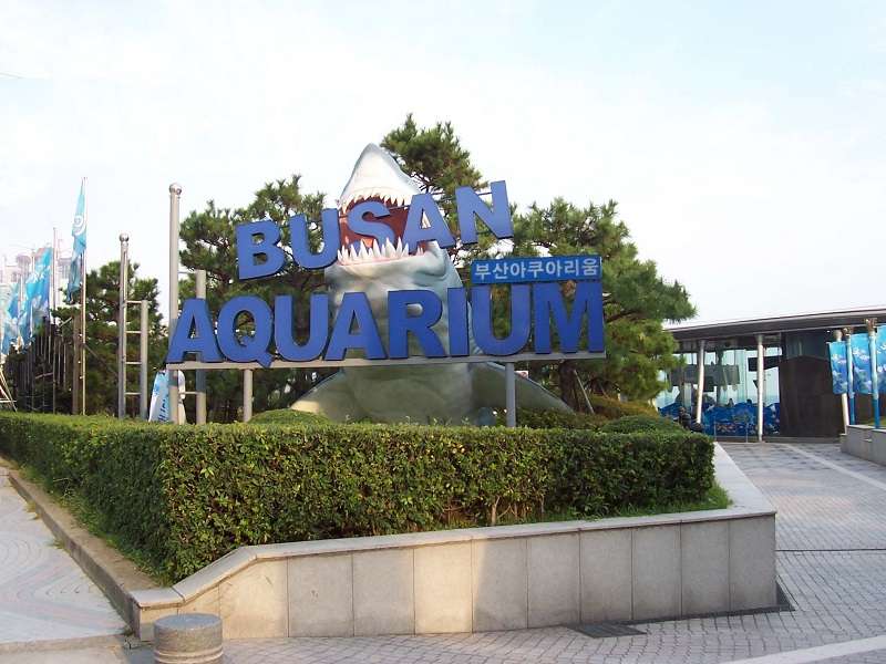 Busan Aquarium