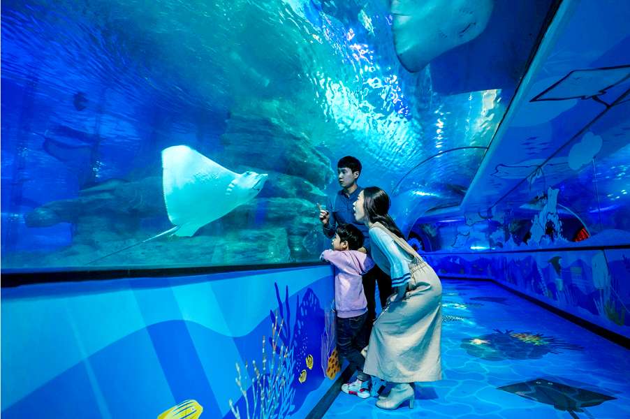 Busan Aquarium