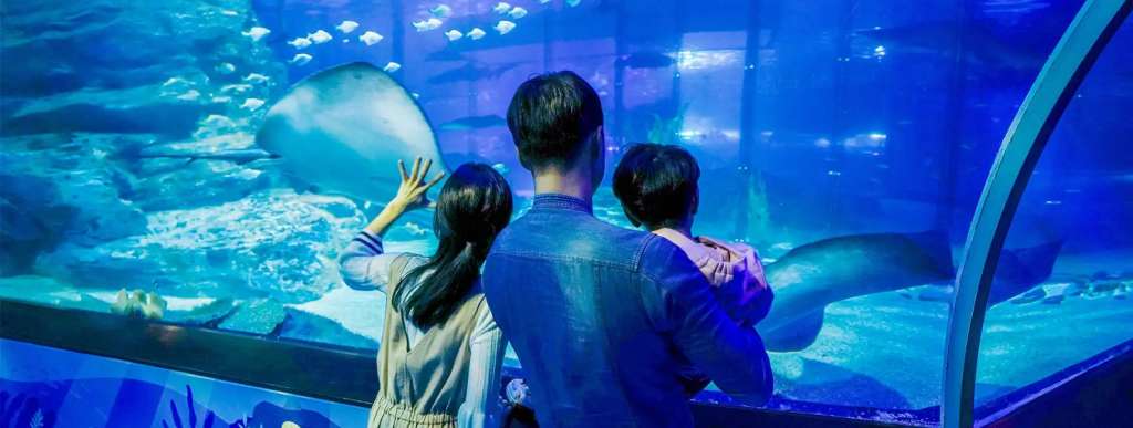 Busan Aquarium