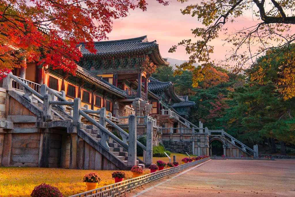 Mùa thu tại chùa Bulguksa Gyeongju 