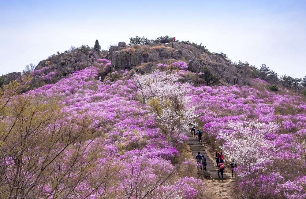 Núi Yeongchwisan mùa xuân