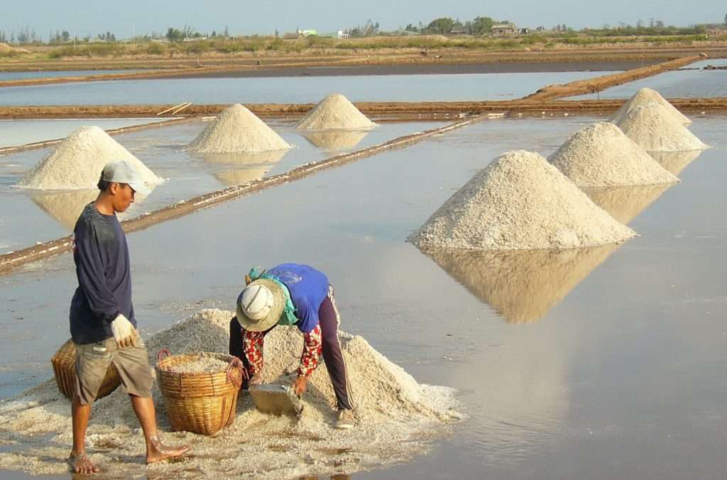 Nét đẹp lao động tại cánh đồng muối Bạc Liêu