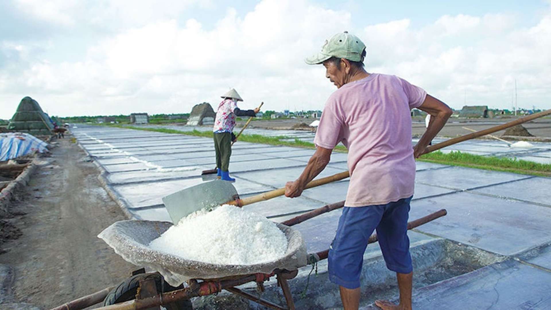 cánh đồng muối Bạch Long