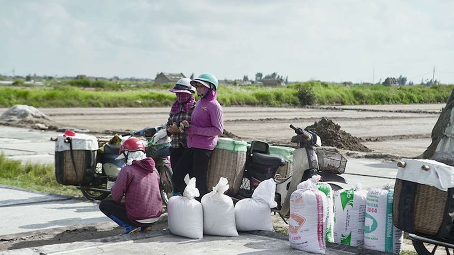 cánh đồng muối Bạch Long