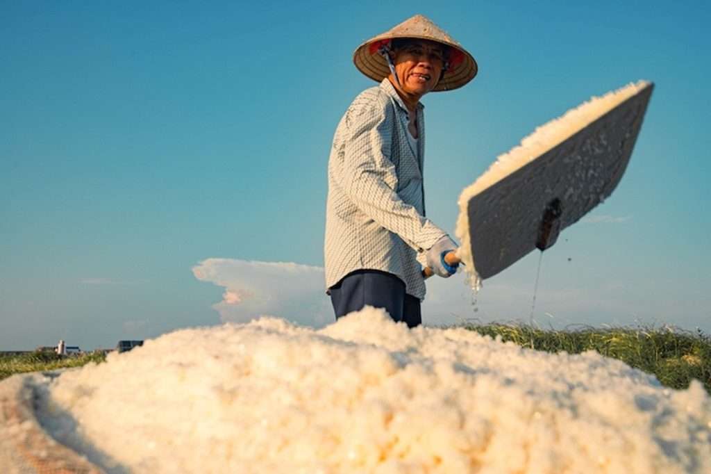 cánh đồng muối Bạch Long