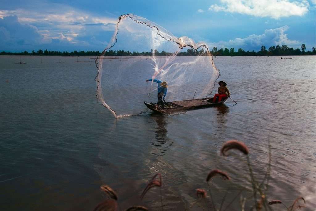 bắt cá ở Cần Thơ