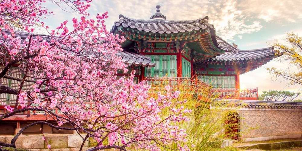 Changdeokgung mùa hoa đào nở