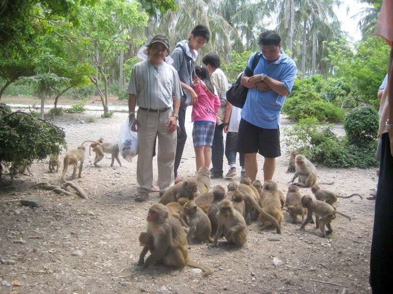 Tham quan đảo Khỉ ở Cát Bà