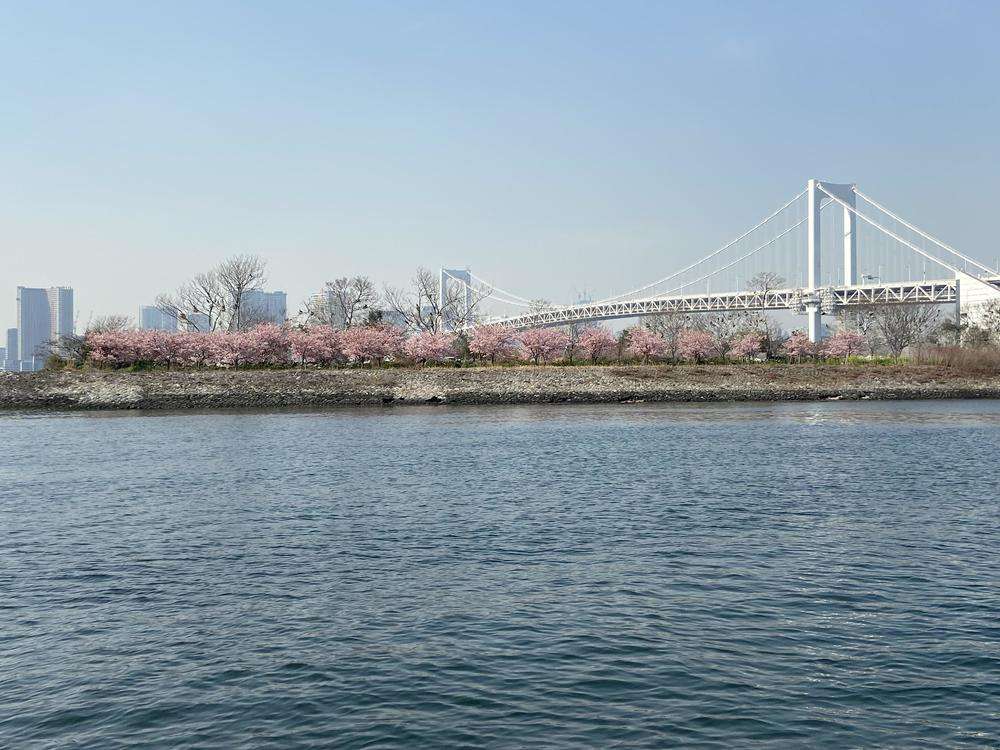 cầu Rainbow Bridge