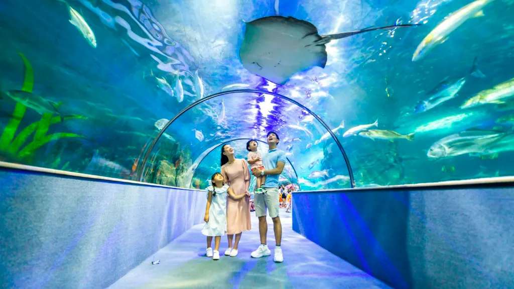 Khám phá thuỷ cung Times City tại VinKE & Vinpearl Aquarium Times City @VinWonder 