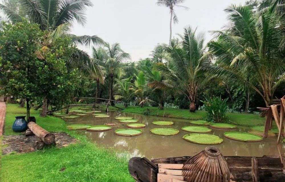 địa điểm du lịch Tết gần Sài Gòn