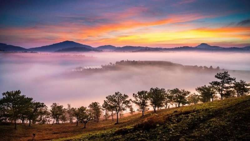 Săn mây tại Đỉnh Hòn Bồ 