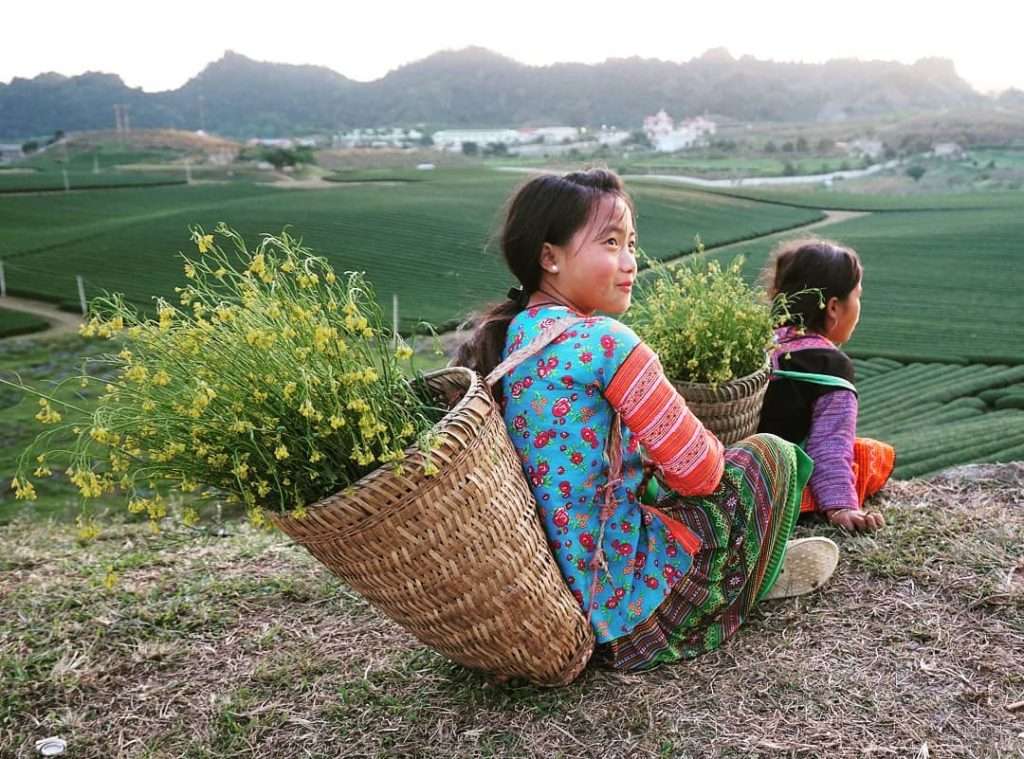 Tham quan đồi chè Mộc Châu