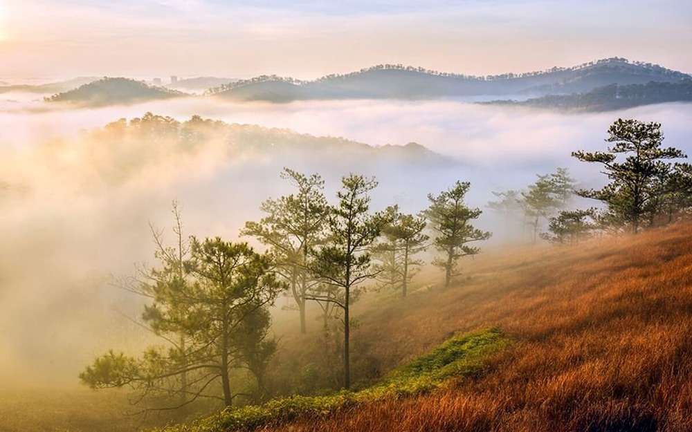 Săn mây đồi Đa Phú 