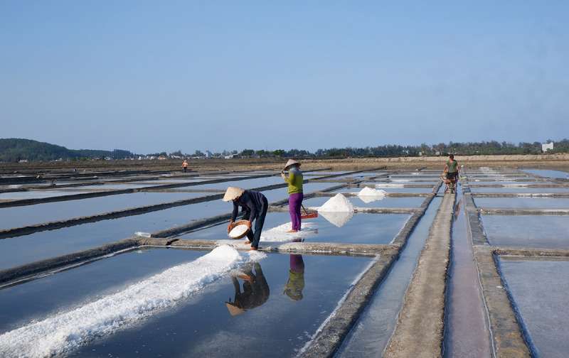 Cánh đồng muối Sa Huỳnh