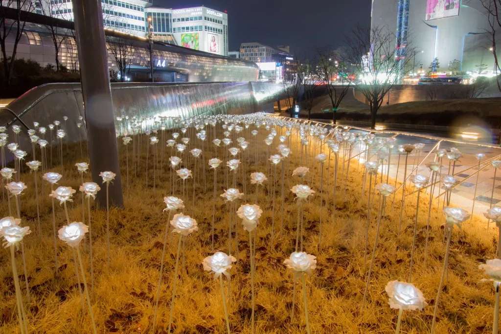 Lễ hội Vườn Hồng Led tại Dongdaemun Design Plaza 