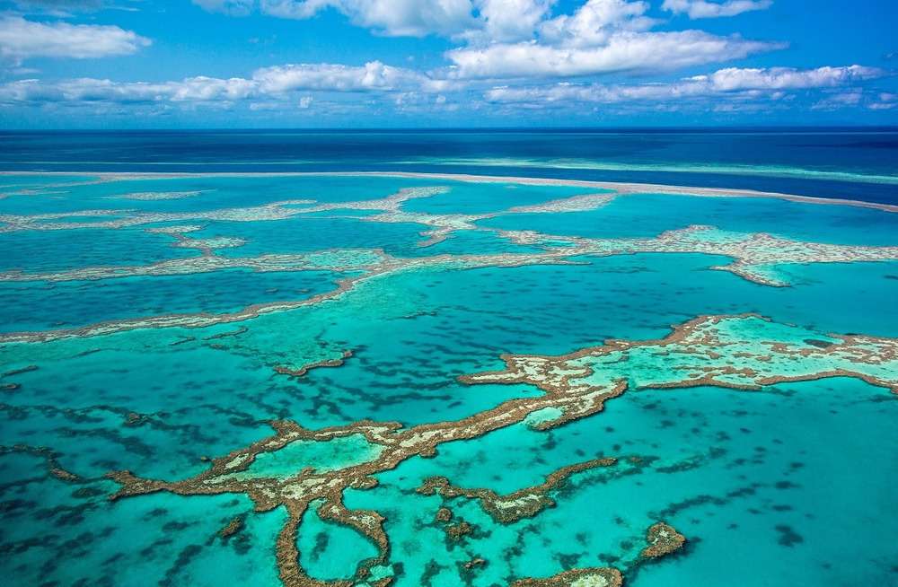 Bãi biển Coral