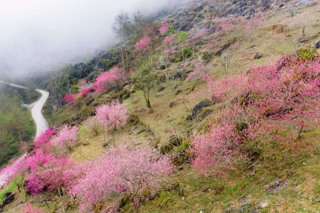 Thời tiết Hà Giang vào tháng 3 mát mẻ