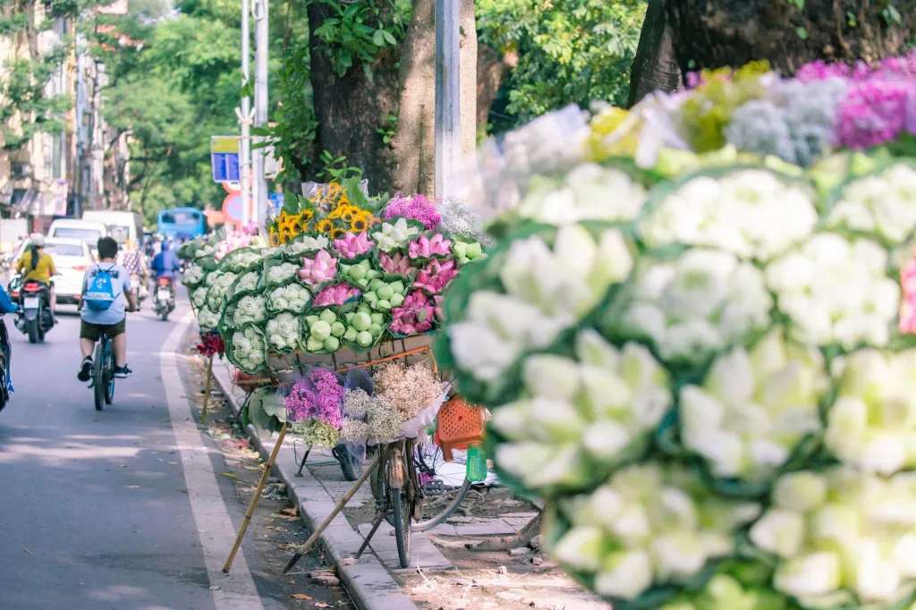 Hà Nội vào mùa thu mộng mơ, lãng mạn đến lạ thường