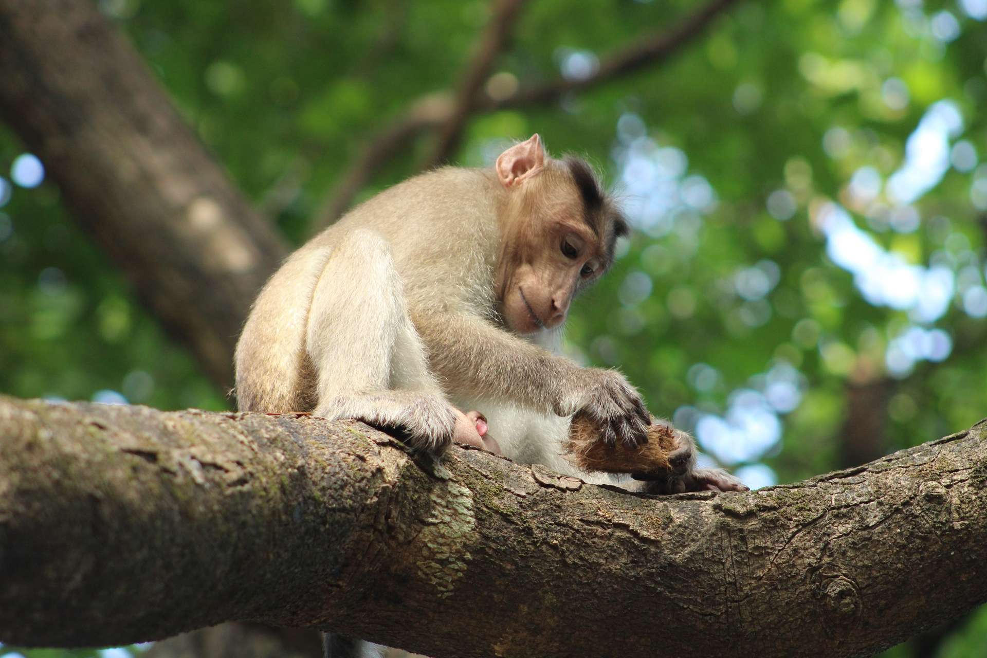 du lịch Mumbai