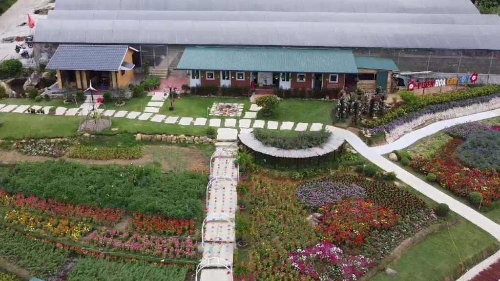 vườn hoa Cao Sơn