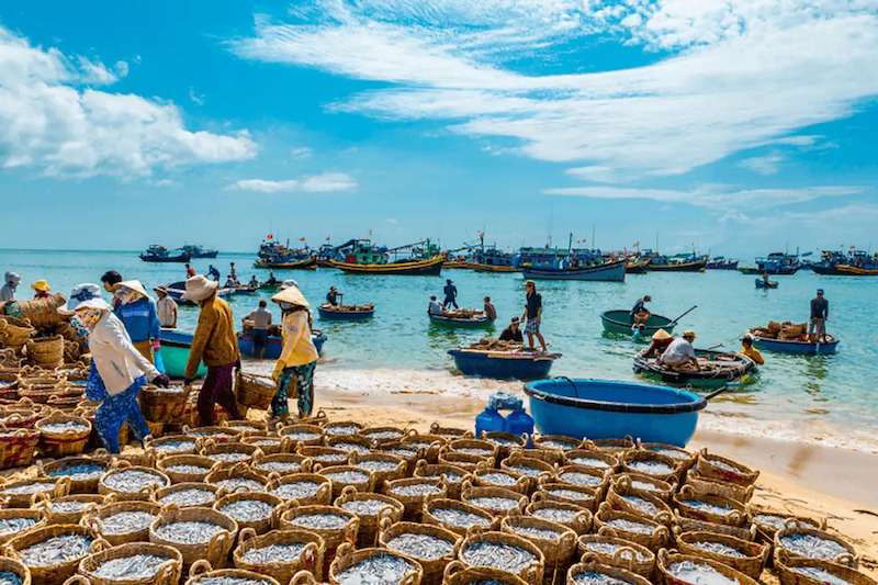 du lịch phan thiết 2 ngày 1 đêm