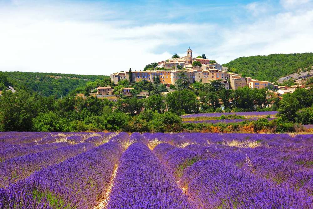 Cánh đồng hoa oải hương ở Provence