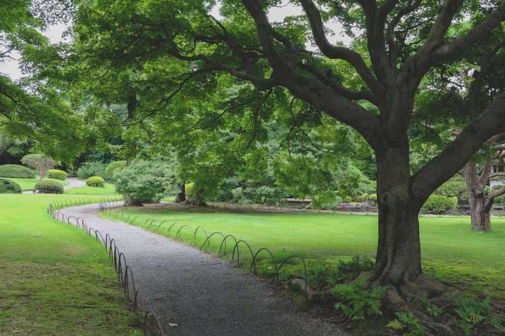 Công viên Quốc gia Shinjuku Gyoen