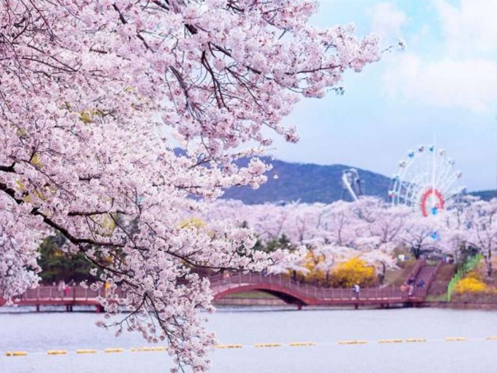 Thành phố Suwon mùa xuân