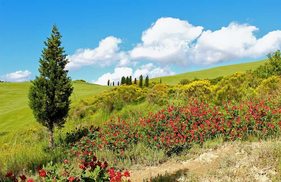 du lịch tuscany