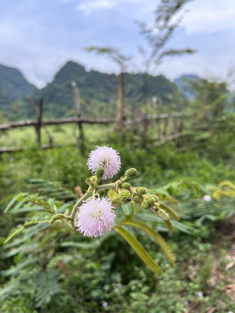 khám phá hang động Tú Làn