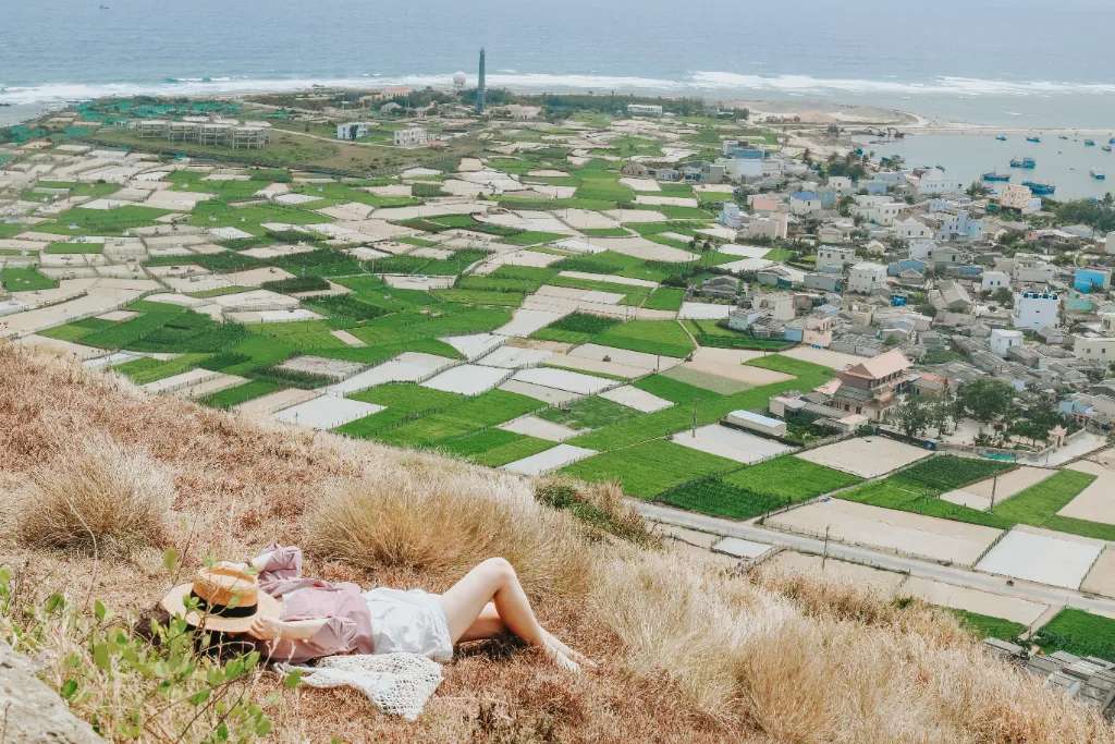 Viewpoint ngắm cánh đồng tỏi