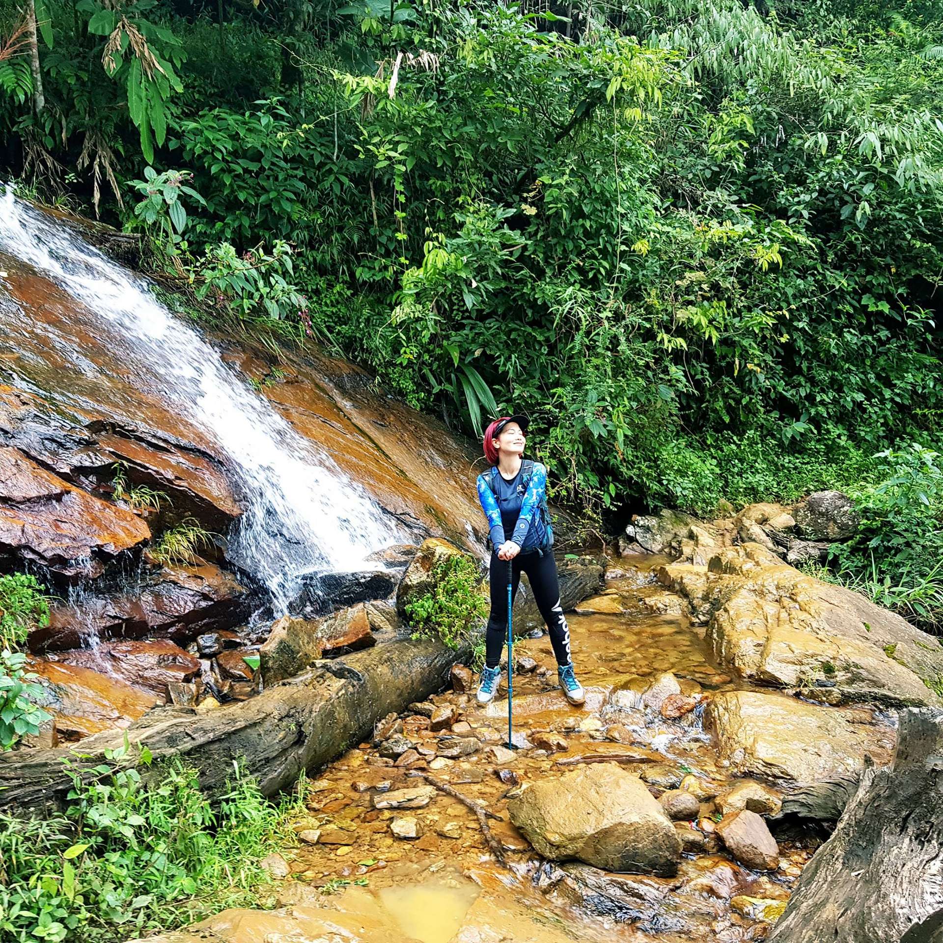 Bạch Mộc Lương Tử