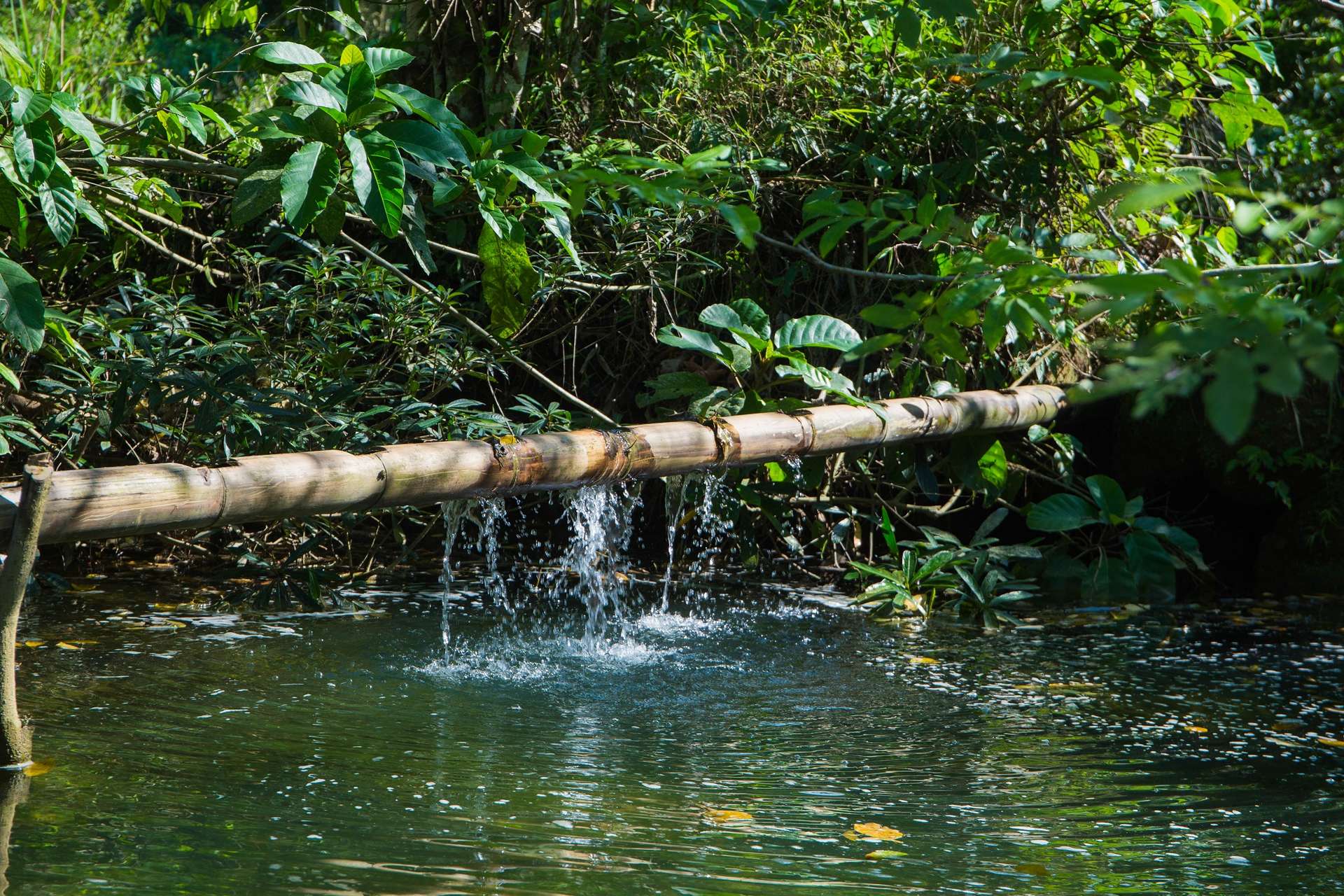 bản bướt vân hồ