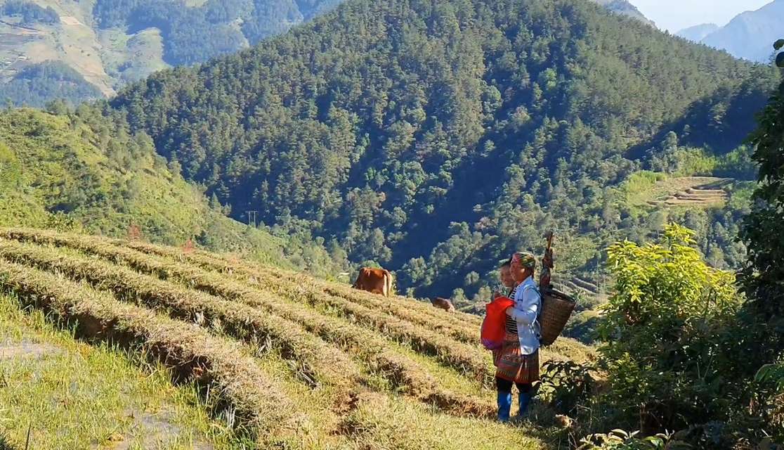 bản công yên bái