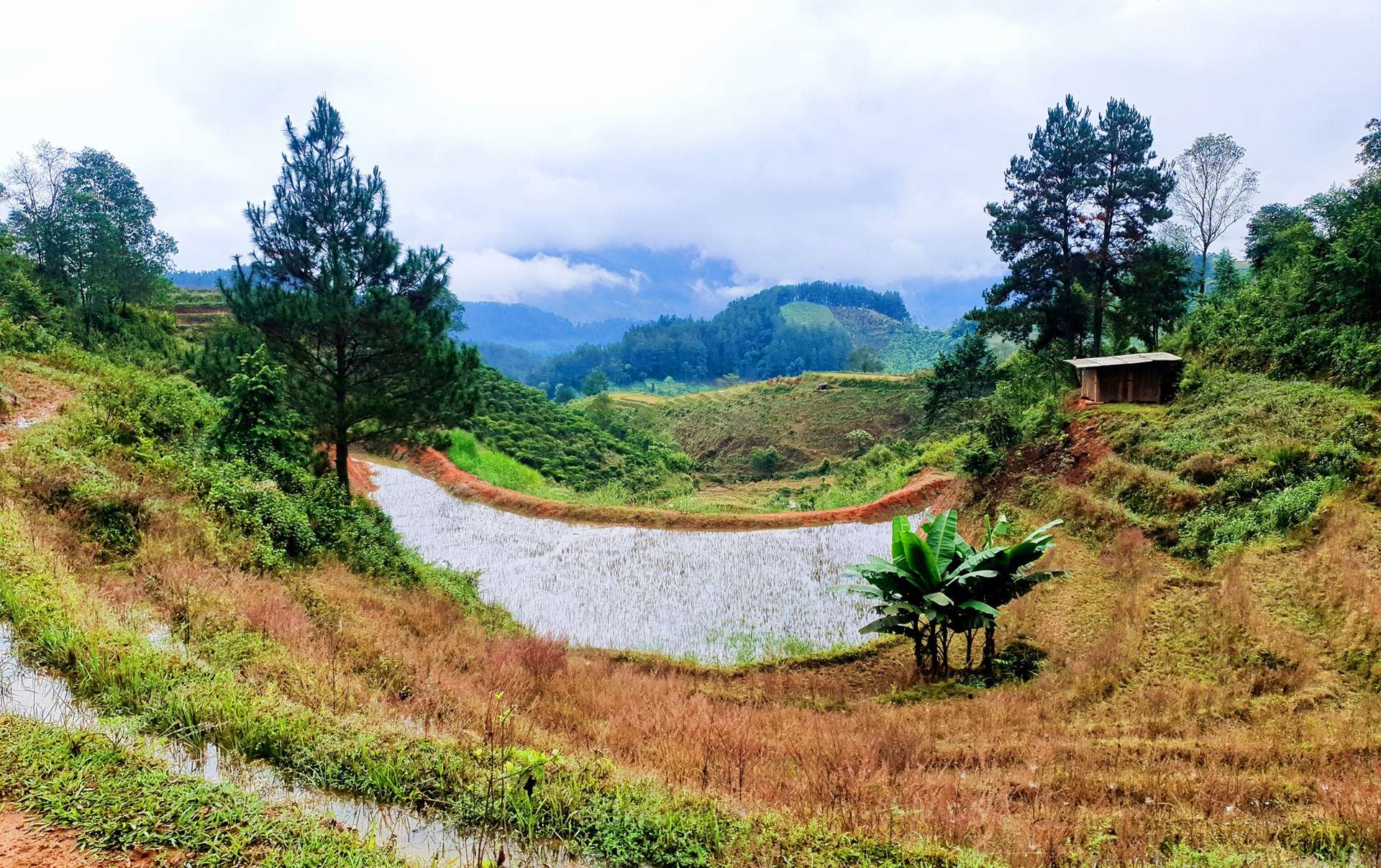 bản công yên bái