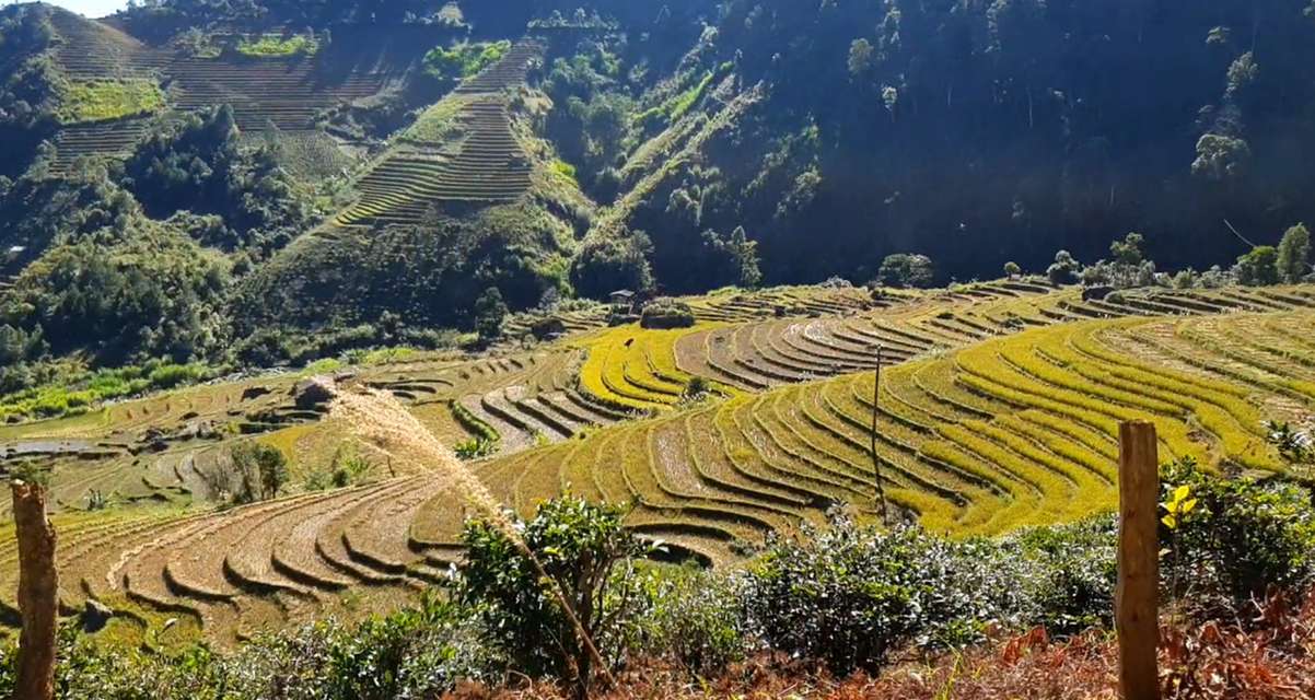 bản công yên bái