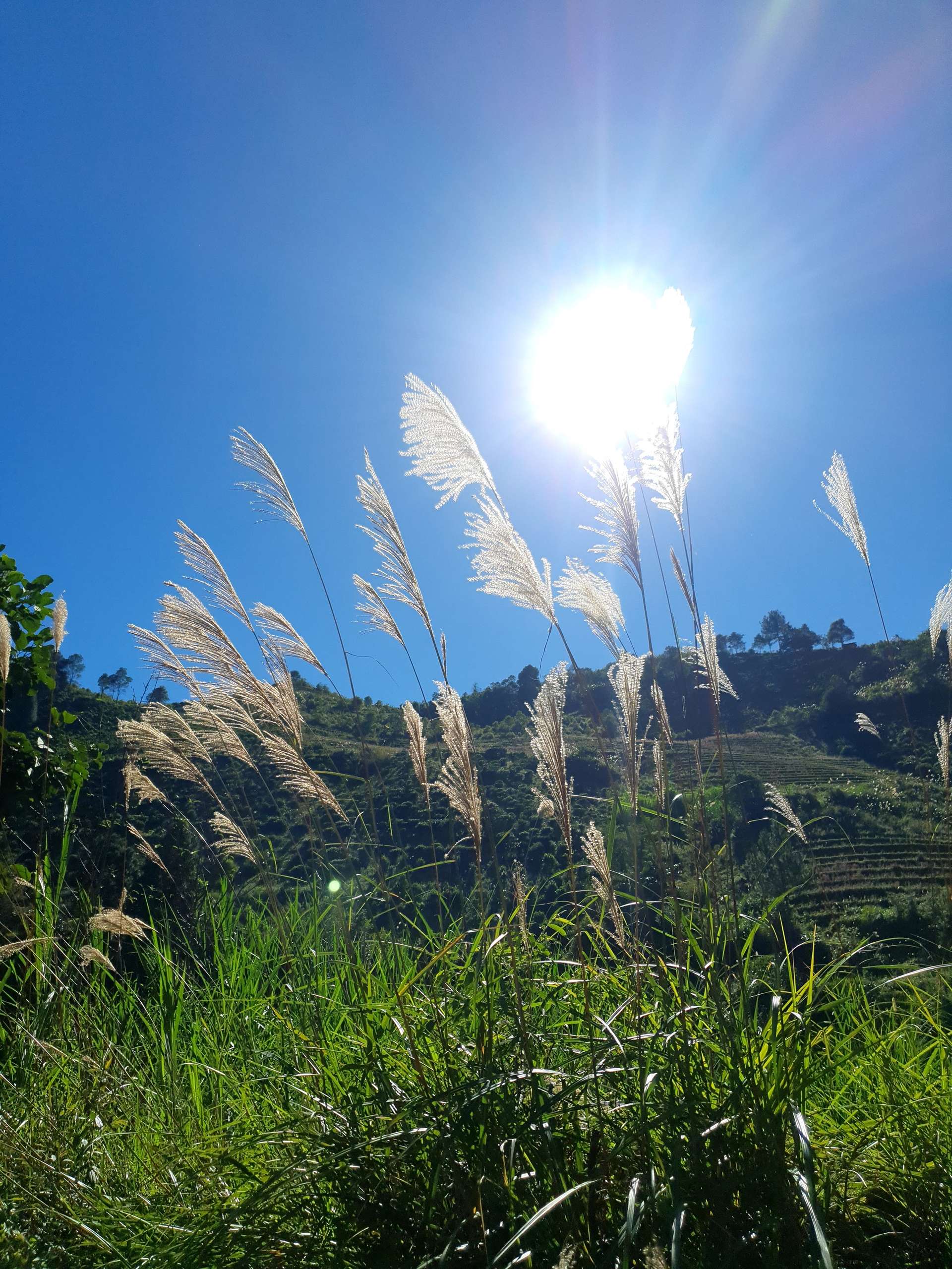 bản công yên bái