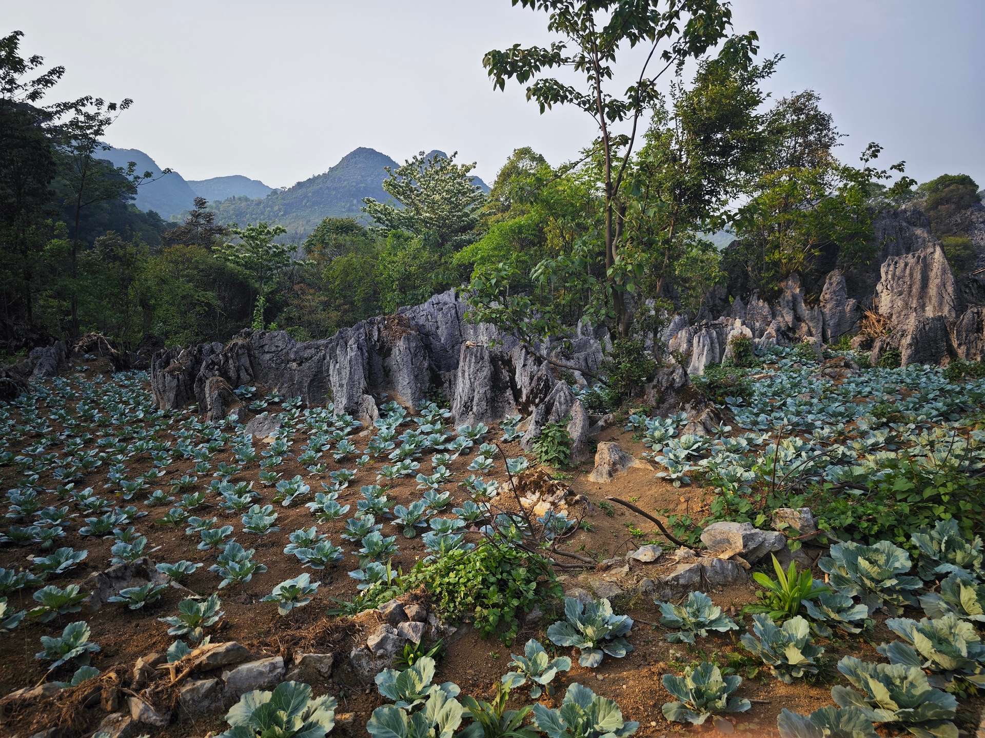 Lao Xa - Hà Giang