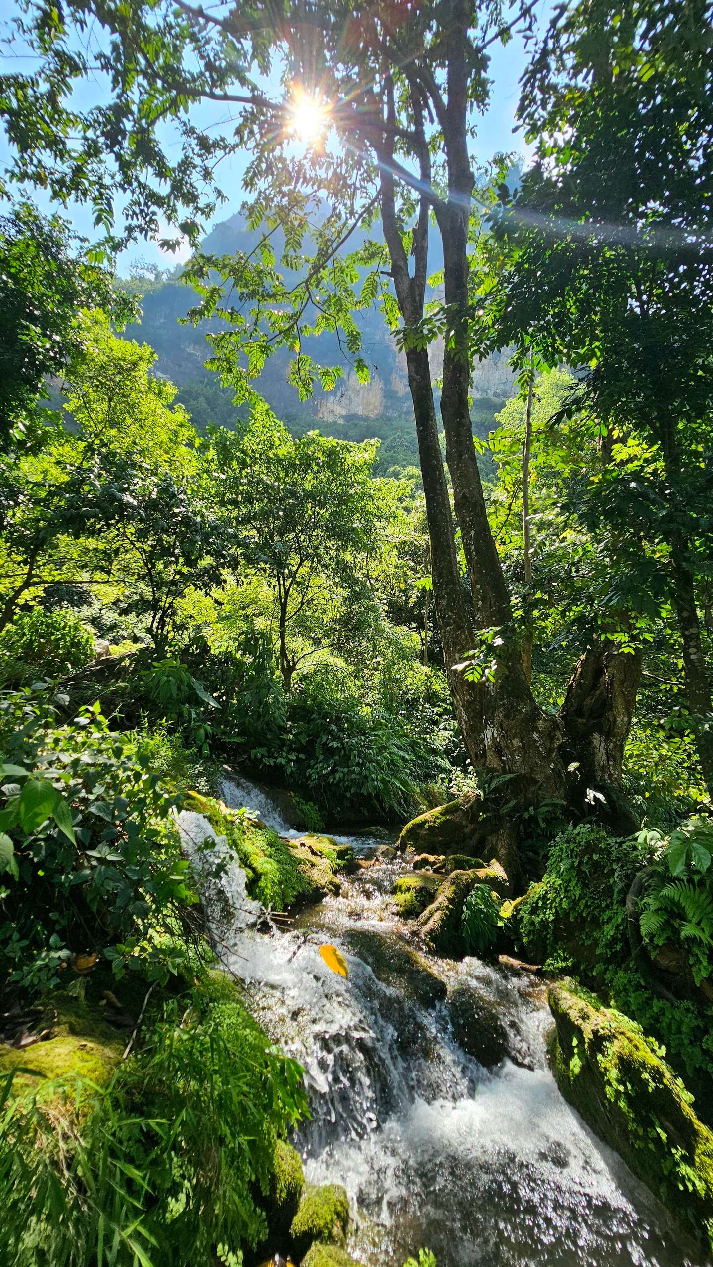 bản Tà Làng Hà Giang