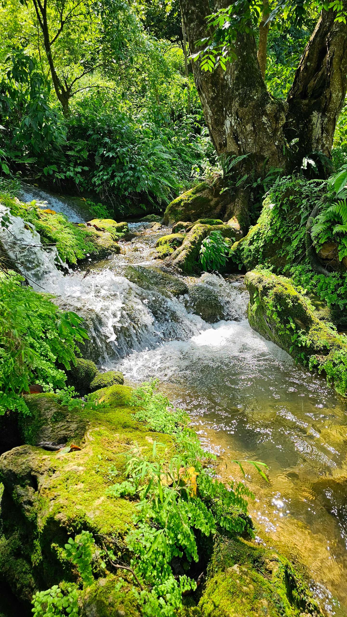 bản Tà Làng Hà Giang