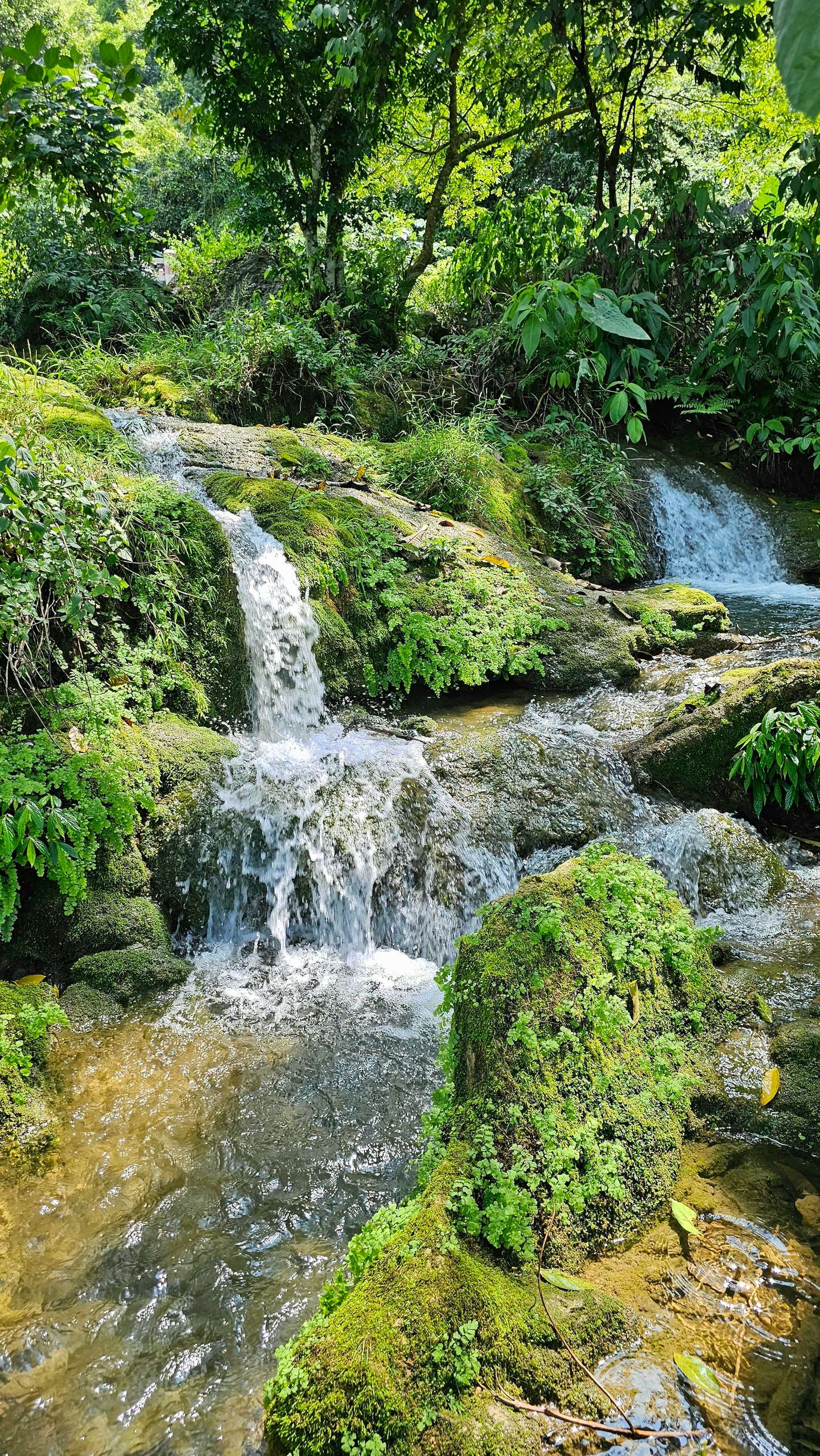 bản Tà Làng Hà Giang